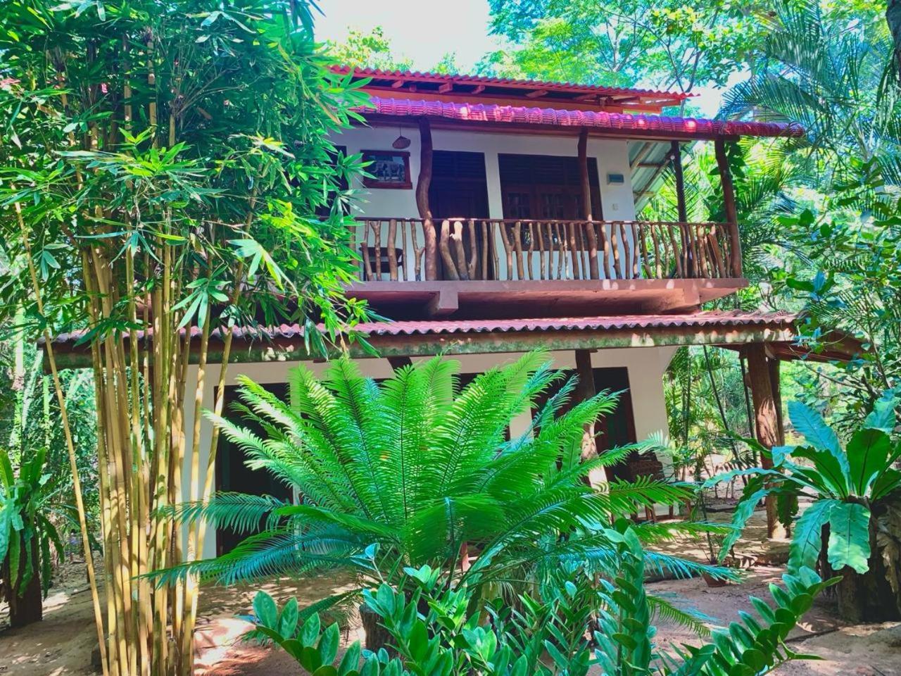Hotel Walawa Blue Sapphire Udawalawe Zewnętrze zdjęcie
