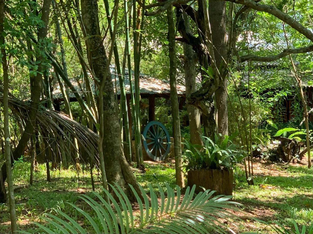 Hotel Walawa Blue Sapphire Udawalawe Zewnętrze zdjęcie