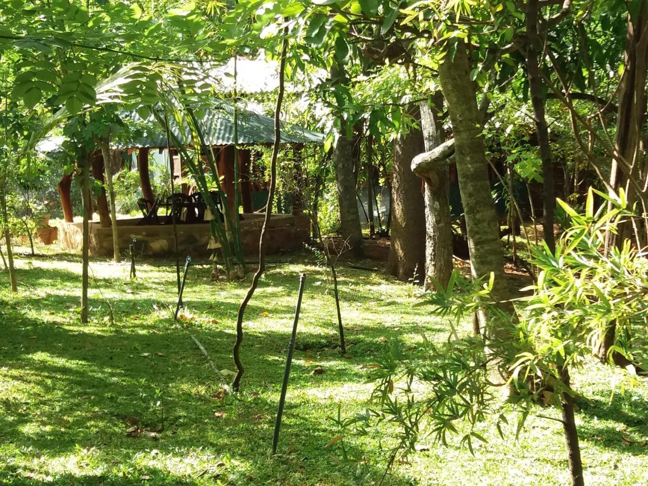 Hotel Walawa Blue Sapphire Udawalawe Zewnętrze zdjęcie