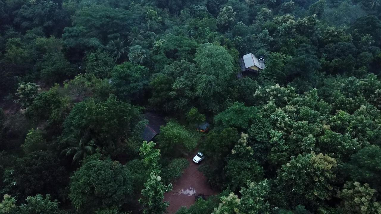 Hotel Walawa Blue Sapphire Udawalawe Zewnętrze zdjęcie